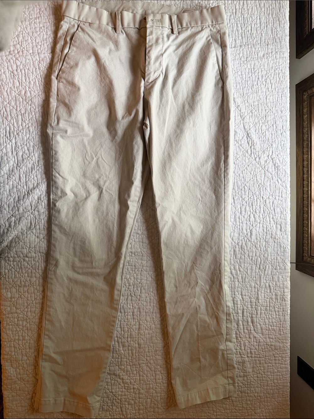 GAP Men's Light Tan Chino Pants
